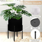 ARNIS Modern Plant Pots, Large Planters with Stand, Set of 2 Decorative Planters, Metal Plant Pots with Drainage Holes for Living Room, Office, Garden or Balcony, 10.5 &12.25 Inch, Black - Image 4