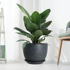 UOUZ 12/10/9 Large Modern Plant Pots, Plastic Planters with Drainage Holes and Saucers for Indoor Outdoor Plants Flowers, Black with Green Speckles - Image 7