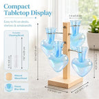 Nacome Plant Terrarium Propagation Stations: Blue Vase with Wooden Stand - Image 4