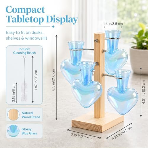 Nacome Plant Terrarium Propagation Stations: Blue Vase with Wooden Stand - Image 4