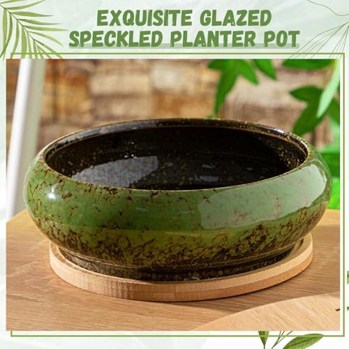 2 Pcs 7.3'' Shallow Succulent Planters Pots, Green - Image 4