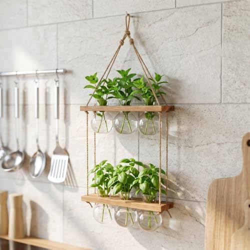 Tier Wall Mounted Wood Plant Propagation Station with Glass Vases - Image 5