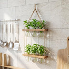 Tier Wall Mounted Wood Plant Propagation Station with Glass Vases - Image 5