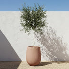 Planters for Indoor Plants, 18.7 inch Large Plant Pots - Image 7