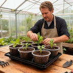 RooTrimmer 30 Pack 6 Inch Clear Nursery Pots and 5 Pack 6 Cell Round Plant Pot Trays, Sturdy Seeds Starting Germination Shuttle Carrying Trays, Planter Nursery Propagation 5 Sets - Image 6