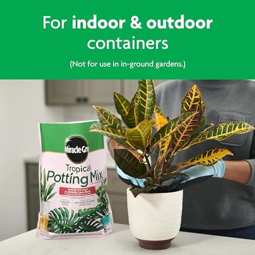 Miracle-Gro Tropical Potting Mix, For Container Plants, Use with Snake Plants, Spider Plants, Pothos, Monstera, 6 qt., 3-Pack - Image 5