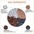 Bonsai Soil by The Bonsai Supply – 4qts. Professional Bonsai Soil Mix | Ready to use| Great for All Bonsai Tree Varieties. - Image 2
