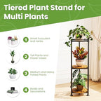 3 Tier Plant Stand Indoor Corner Tall Round Shape Plant Shelf - Image 6