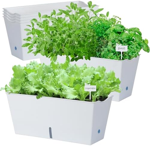 Window Box Planter 6 Pcs, 16.5 Inches Self Watering Rectangle Flower Plant Pots with Drainage Holes Trays, Vegetable Planters for Windowsill Patio Garden Balcony Porch Yard (White) by Oliz