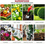 GARDENERA Premium Organic Seaweed & Kelp Superfood for Spider Plant Plants - 32 oz - Liquid Kelp Fertilizer Concentrate (Makes 180 Gallons) - Image 7