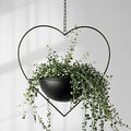 Hajia 1 Pack Heart Shaped Hanging Plant Holder with 7.5inch Detachable Pot, Black Metal Modern Hanging Planter for Indoor Outdoor, Minimalist Wall Ceiling Plant Hanger for Home Wedding Decor by HajiaHomeDecor