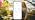 X-Sense Smart Wi-Fi Temperature and Humidity Monitor, 3 Sensors & Base Station - Image 7