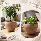 Geetery 8" Large Rustic Terracotta Ceramic Planter Pots with Drainage Hole - Image 6