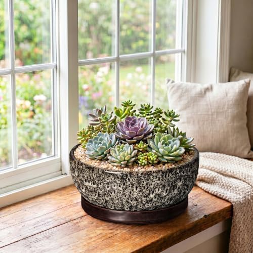 Succulent Pots, 10 Inch Ceramic Bonsai Tree Pots, White Leopard - Image 3
