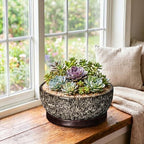 Succulent Pots, 10 Inch Ceramic Bonsai Tree Pots, White Leopard - Image 3