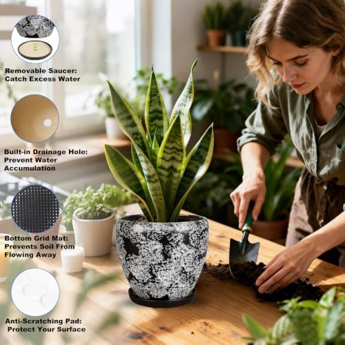 Ceramic Plant Pots With Saucer & Drainage Hole, 6 inch Indoor Flower Pots - Image 4
