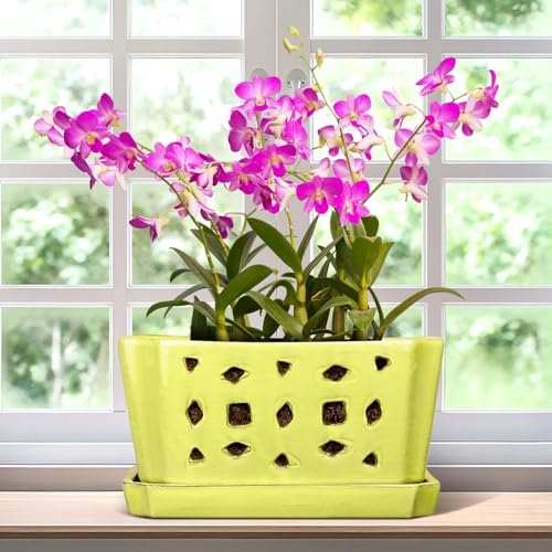 Teenyyou 9.5" Orchid Pot Ceramic with Hole Saucer for Repotting, Yellow by Teenyyou