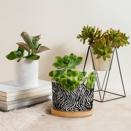 in Beige Planter Ceramic Black White Zebra Print Round Plant Pot with Drainage Holes and Bamboo Tray Pot for Indoor Outdoor Garden - Image 4