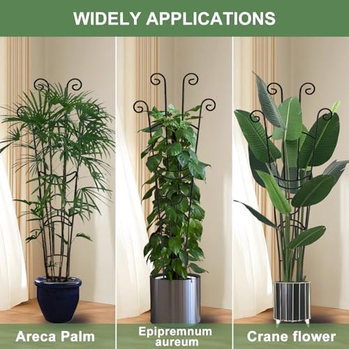 Coomin 32.6in Monstera Plant Support Trellis for Indoor Plants, 4P - Image 4