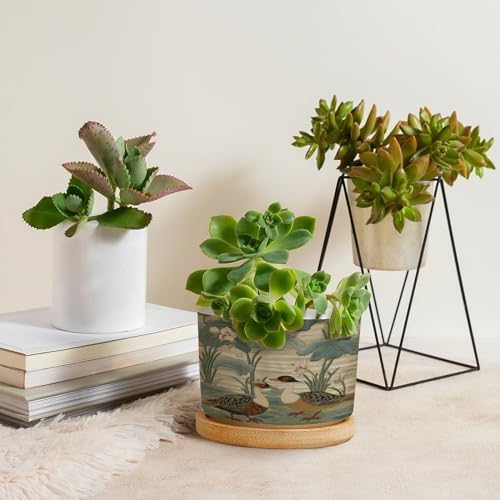 Garden Ceramic Planters Snake Plant Live Indoor with Pot with Drainage Holes and Saucers Pot for Pots Outdoor Indoor Plants - Image 4