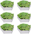 Anleolife 6-Bed 70x60x18in Hexagon Raised Garden Beds, Antique White by AAnleolife