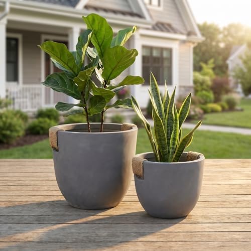 Large Tree Concrete Pot for Indoor, 13"&10" Modern Plant Pot for Home - Image 5
