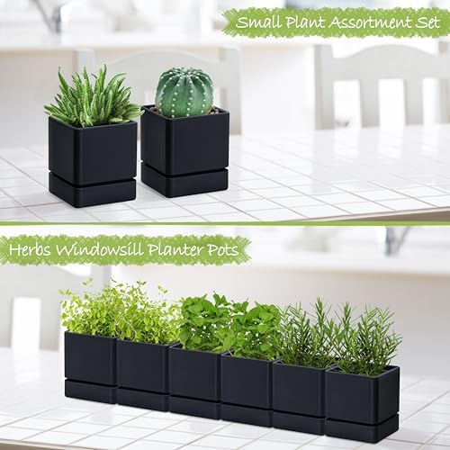 D'vine Dev 6-Pack Plastic Herb Planter Pots, 4 in, Black, 76-Y-B6-1 - Image 6