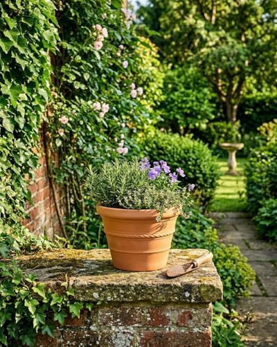 2 Pack 8 Inch Terracotta Pots for Plants, Rope Pattern with Drainage Hole - Image 7