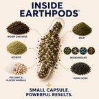 Organic Bonsai, Bamboo & Money Tree Fertilizer, 100 Capsules - Image 3