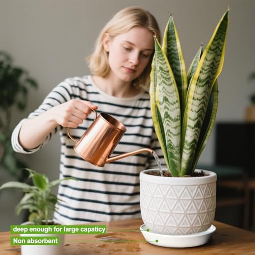 Plant Saucer 8 Inch, 2 Pack Large Plant Saucers Ceramic Tray 8 inch (7.3" Inner) for Flower Pot, Classic Sturdy Planter Water Catcher Tray for Plant Base,White - Image 5