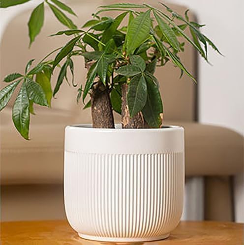 Ceramic 5.2+6.5 inch Planters, Modern Home and Office Flowerpot, Indoor and Outdoor Flowerpot with Drainage Hole (White) - Image 5