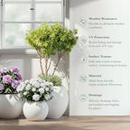 DTY Premium Mt Sherman Fiberstone Sphere Planter for Indoor Outdoor Use, Round Pot for Olive Tree, Lightweight, Smooth Finishes. 2 Extra Coco Mats. White, Large 21.1'' D x 16.7'' H. 14.6” Pot Opening - Image 4