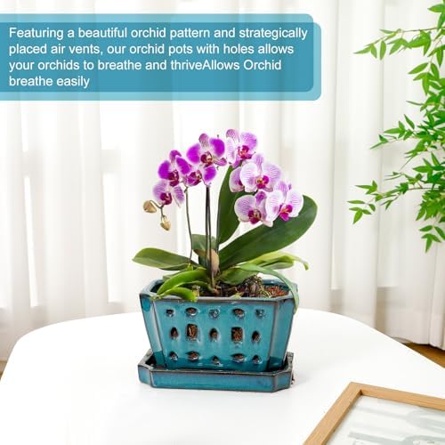 Teenyyou 7 Inch Ceramic Orchid Pot with Holes and Saucer Repotting,Blue - Image 5