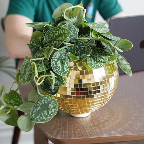 Bubblegum Stuff - Gold Disco Ball Hanging Planter for Indoor Plants - 8 Inch Basket With Chain, Rim, Herb Planter - Boho Decor Plant Pots for Room Decor - Image 4