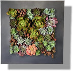 Vandue Modern Home Living Wall Galvanized Steel/Zinc Succulent Planter, Wall Mounted Garden Pocket Planter (16 Pocket, Black Zinc) by Vandue