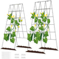 DOEWORKS 48" Cucumber Trellis, 2-Pack, Foldable, for Cucumbers, Beans, Tomatoes, Flowers by DOEWORKS