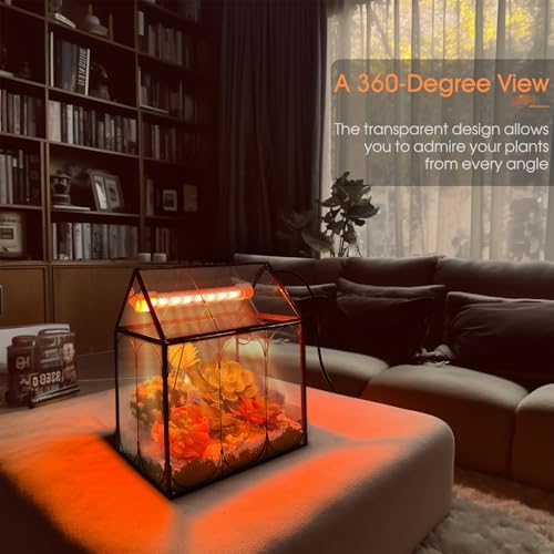 RIFNY Plant Terrarium with Grow Light, Glass Terrarium 7.1 x 4.8 x 8.8 Inch - Image 3