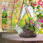 NCYP 16-Inch Closed Large Glass Terrarium with Door, Geometric Greenhouse - Image 2