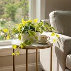 MyGift Vibrant Lifelike Artificial Plant Pothos Leafy Vine Greenery in White Concrete Rectangular Planter Box - Image 2
