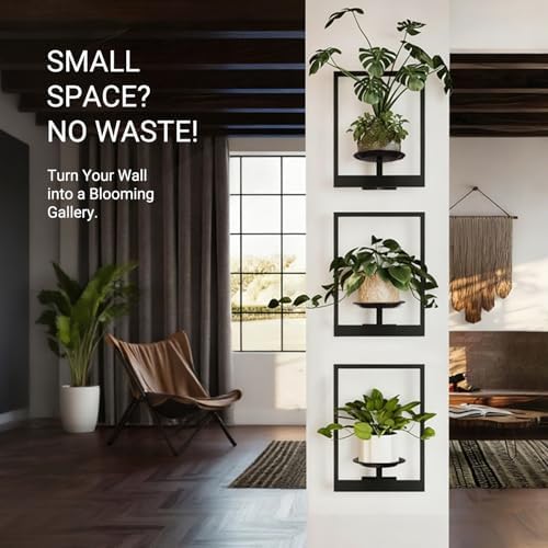 Plant Wall Shelf, Metal Modern Style Frame, Picture Wall Plant Holder, Plant Frames for Living Space Decor Display Stand for Living Room Balcony Garden Patio (3 PACK(BLACK )) - Image 6