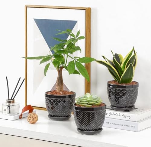 Sureasy Ceramic Indoor Plant Pots - 5.6 Inch Flower Pots for Plants with Drainage Hole and Saucer, Embossed Planter for Succulents, Orchid, Cactus, Indoor Home Decor, Set of 4, Black - Image 7
