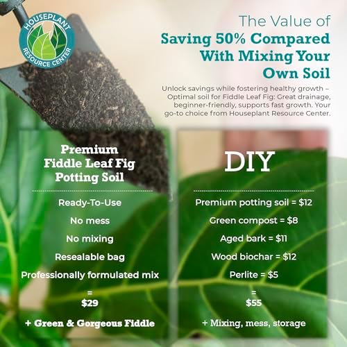 Fiddle Leaf Fig Propagation Bundle - Image 6
