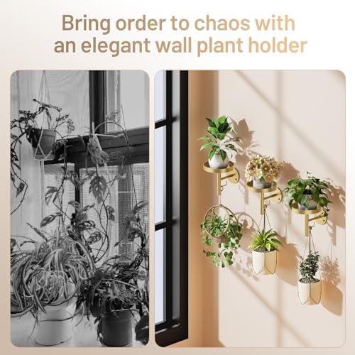 YUOROS 3 Pack Wall Plant Holder Stand Wall Planters for Indoor Plant (Gold) - Image 4