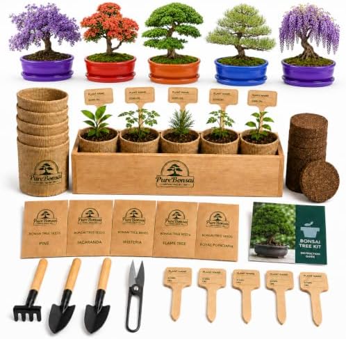 Bonsai Tree Starter Kit for Beginners – Complete Indoor Growing Kit with 5 Unique Japanese Bonsai Tree Seeds Pots & Gardening Tools DIY Gift for Adults by PureBonsai
