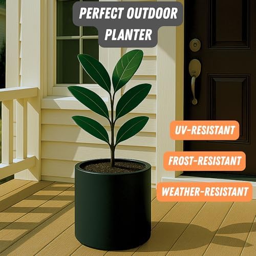 Fox & Fern Large Planter for Indoor or Outdoor, Matte Black, 10 Inch - Image 5