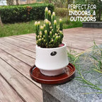 Ceramic Plant Saucer 7 Inch, 2 Pack Round Plant Trays for Indoors/Outdoors, Flower Pot Saucers for Holding Water Drips and Soil, Ceramic Drainage Tray for Plant Pot (Reactive Glaze Brown) - Image 2