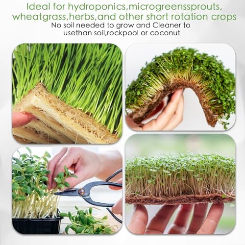 6 Pack Microgreens Growing Kit, Microgreens Trays for Indoor Gardening - Image 7