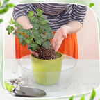 Hoolerry 15 Pcs Plastic Plant Saucer Clear Deep Tray, 14 Inch - Image 5