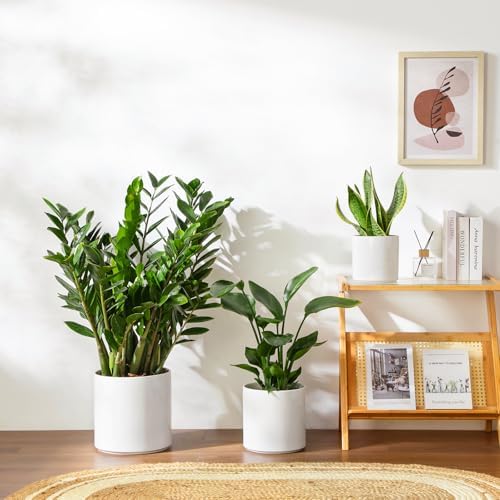 vancasso 6"+8"+10" Ceramic Pot for Plants, Large Outdoor Indoor Planter Pots with Drainage Holes, Set of 3, White - Image 4