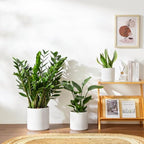 vancasso 6"+8"+10" Ceramic Pot for Plants, Large Outdoor Indoor Planter Pots with Drainage Holes, Set of 3, White - Image 4